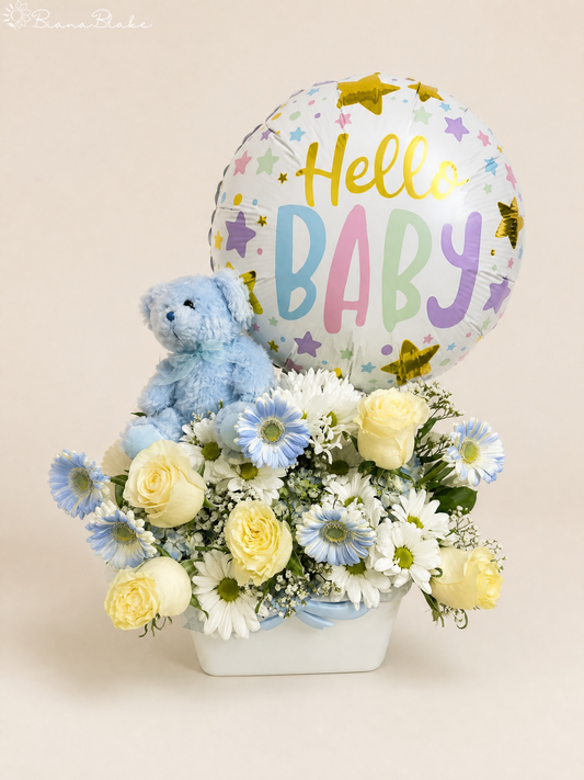 Baby Basket